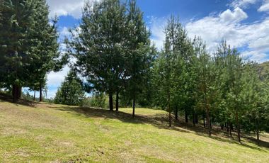 HERMOSO TERRENO EN VENTA, SECTOR TUTUPALI