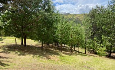 HERMOSO TERRENO EN VENTA, SECTOR TUTUPALI