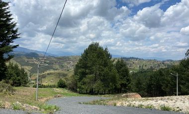 HERMOSO TERRENO EN VENTA, SECTOR TARQUI