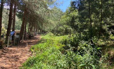 HERMOSO TERRENO EN VENTA, SECTOR TARQUI