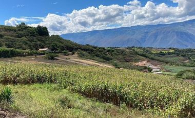 HERMOSOS LOTES EN VENTA EN YUNGILLA