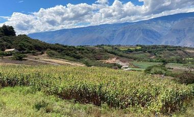 HERMOSOS LOTES EN VENTA EN YUNGILLA