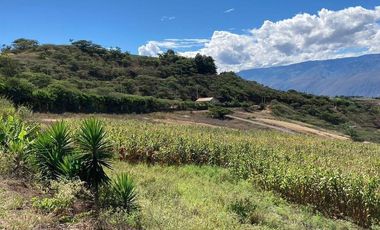 HERMOSOS LOTES EN VENTA EN YUNGILLA