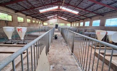 HERMOSA FINCA EN VENTA, SECTOR SANTA ANA