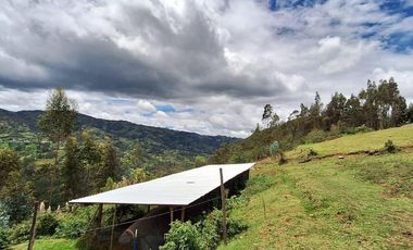 HERMOSA FINCA EN VENTA, SECTOR SANTA ANA