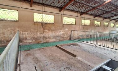 HERMOSA FINCA EN VENTA, SECTOR SANTA ANA