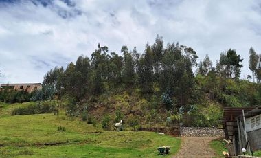 HERMOSA FINCA EN VENTA, SECTOR SANTA ANA