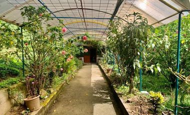 HERMOSA FINCA EN VENTA EN EL SECTOR BAÑOS