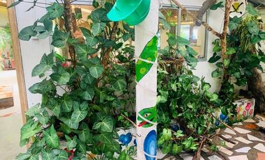 HERMOSA FINCA EN VENTA, SECTOR BAÑOS