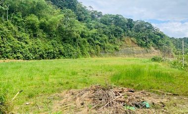 HERMOSA FINCA EN VENTA EN EL SECTOR BAÑOS