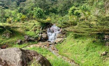 HERMOSA FINCA EN VENTA EN EL SECTOR BAÑOS