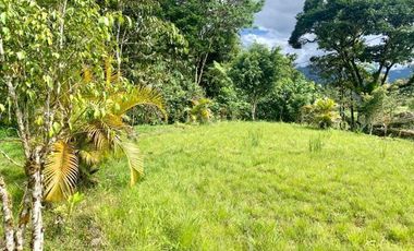 HERMOSA FINCA EN VENTA EN EL SECTOR BAÑOS