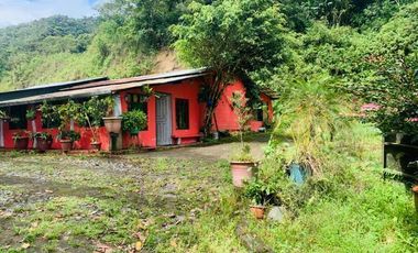 HERMOSA FINCA EN VENTA EN EL SECTOR BAÑOS