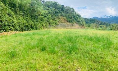 HERMOSA FINCA EN VENTA EN EL SECTOR BAÑOS