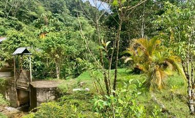 HERMOSA FINCA EN VENTA, SECTOR BAÑOS