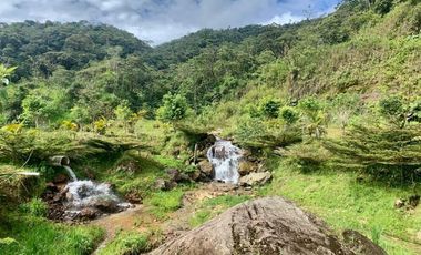 HERMOSA FINCA EN VENTA EN EL SECTOR BAÑOS