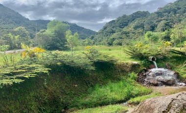 HERMOSA FINCA EN VENTA EN EL SECTOR BAÑOS