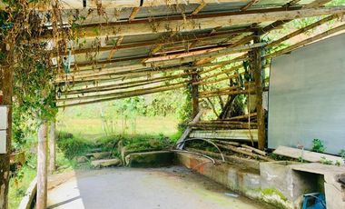 HERMOSA FINCA EN VENTA EN EL SECTOR BAÑOS