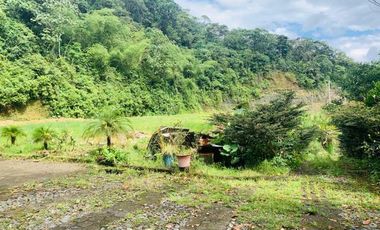 HERMOSA FINCA EN VENTA EN EL SECTOR BAÑOS
