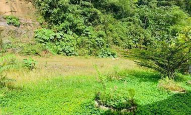 HERMOSA FINCA EN VENTA EN EL SECTOR BAÑOS