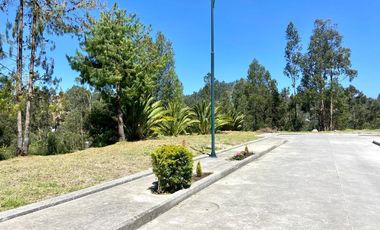 HERMOSOS TERRENOS EN VENTA, SECTOR CAPULISPAMBA