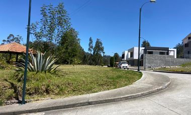 HERMOSOS TERRENOS EN VENTA, SECTOR CAPULISPAMBA