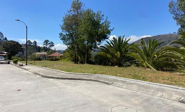 HERMOSOS TERRENOS EN VENTA, SECTOR CAPULISPAMBA