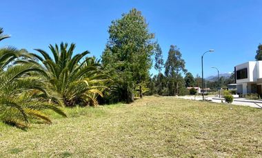 HERMOSOS TERRENOS EN VENTA, SECTOR CAPULISPAMBA