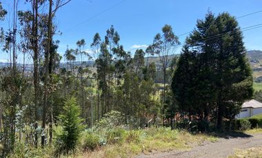 TERRENO EN VENTA, SECTOR TARQUI