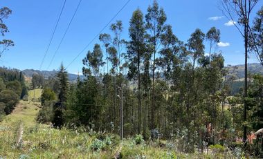 TERRENO EN VENTA, SECTOR TARQUI