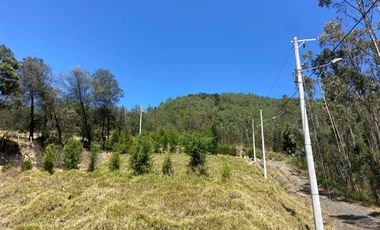 TERRENO EN VENTA, SECTOR TARQUI