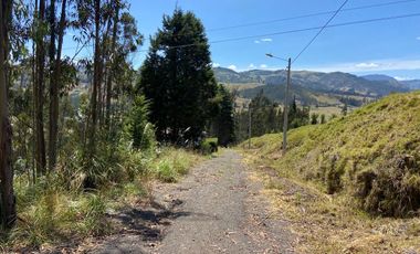 TERRENO EN VENTA, SECTOR TARQUI