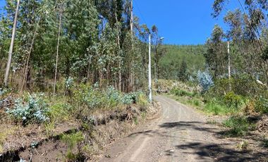 TERRENO EN VENTA, SECTOR TARQUI
