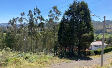 TERRENO EN VENTA, SECTOR TARQUI