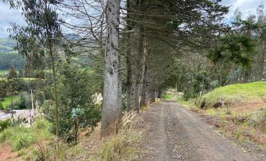 TERRENO EN VENTA, SECTOR TARQUI