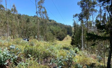 TERRENO EN VENTA, SECTOR TARQUI