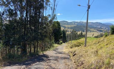 TERRENO EN VENTA, SECTOR TARQUI