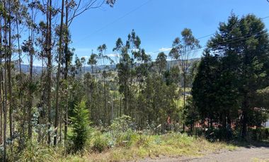 TERRENO EN VENTA, SECTOR TARQUI