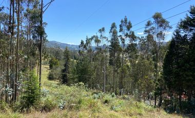 TERRENO EN VENTA, SECTOR TARQUI