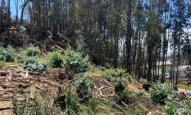 HERMOSO TERRENO EN VENTA, SECTOR PASEO DEL TEJAR