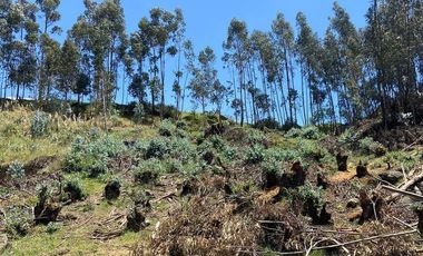 HERMOSO TERRENO EN VENTA, SECTOR PASEO DEL TEJAR