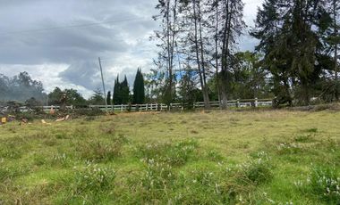 HERMOSO TERRENO , SECTOR ZHULLIN (1 HECTAREA)