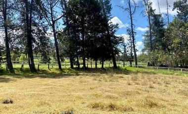 HERMOSO TERRENO EN VENTA, SECTOR ZHULLIN (1 HECTAREA)