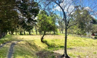 HERMOSO TERRENO EN VENTA, SECTOR ZHULLIN (1 HECTAREA)