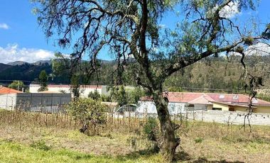 HERMOSO TERRENO EN VENTA, SECTOR ZHULLIN (1 HECTAREA)