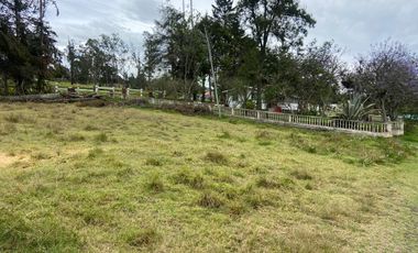 HERMOSO TERRENO , SECTOR ZHULLIN (1 HECTAREA)