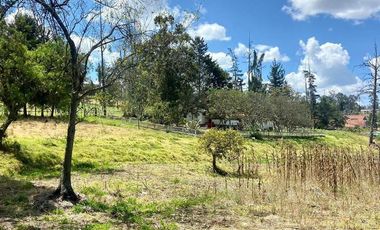 HERMOSO TERRENO EN VENTA, SECTOR ZHULLIN (1 HECTAREA)