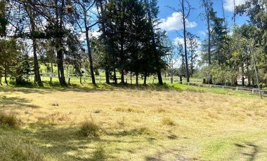 HERMOSO TERRENO EN VENTA, SECTOR ZHULLIN (1 HECTAREA)