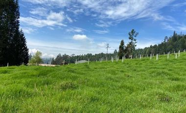 HERMOSO TERRENO EN VENTA, SAN JOAQUIN