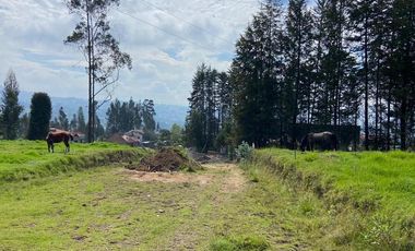 HERMOSO TERRENO EN VENTA, SAN JOAQUIN